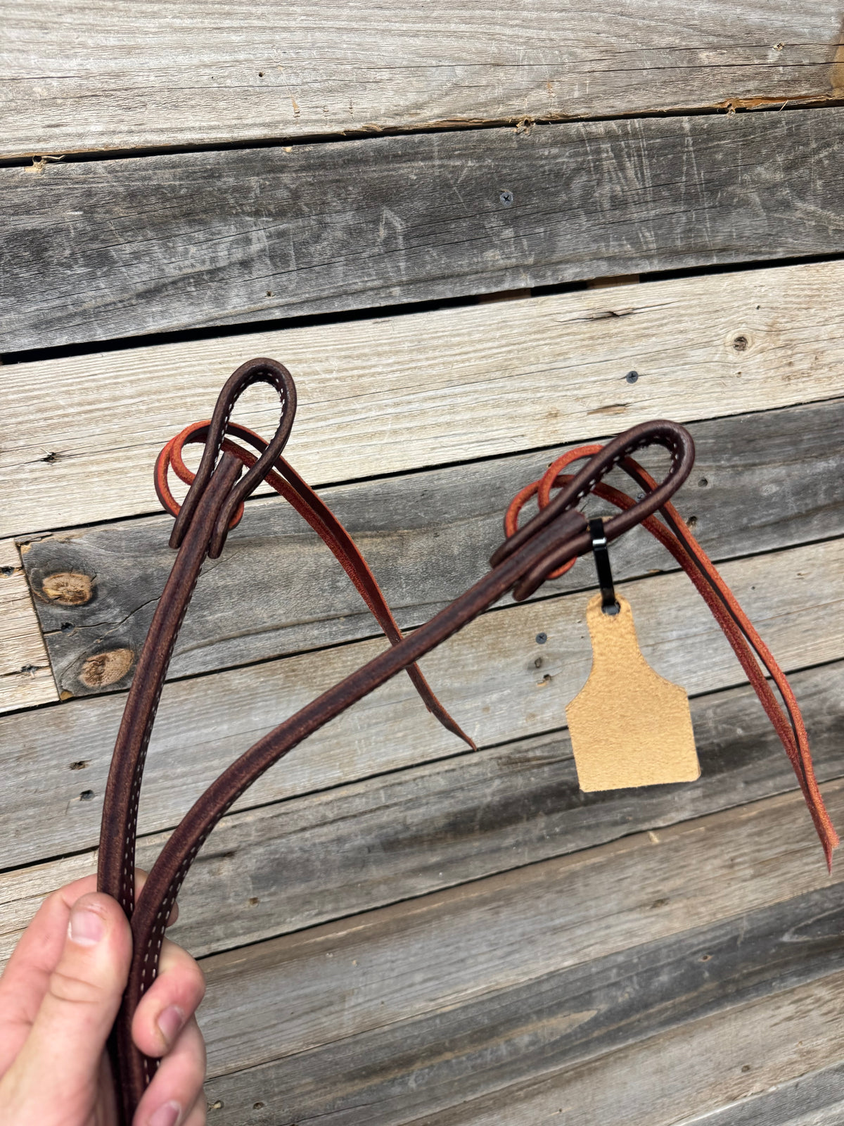 Split Reins