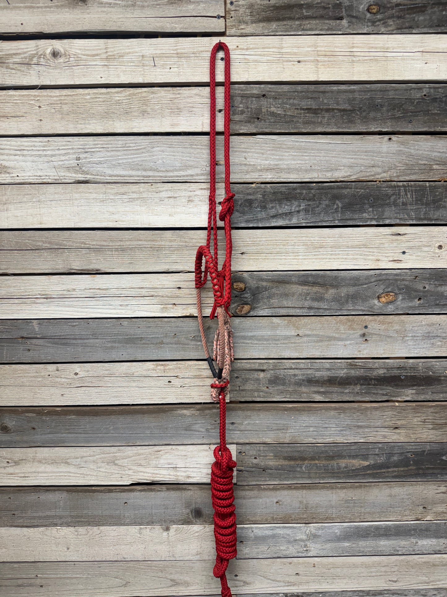 Rope Nose band Halter